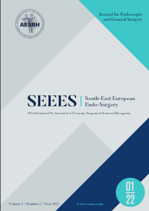 					View Vol. 1 No. 2 (2023): SEEES JOURNAL
				